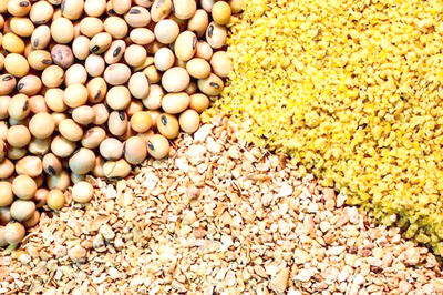 نابسامانی در بازار نهاده‌های دامی کماکان ادامه دارد؟