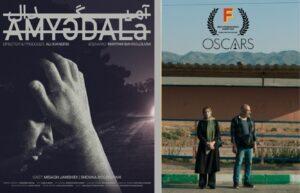 «تاجی» به اسکار رفت/ «آمیگدال» آماده نمایش شد