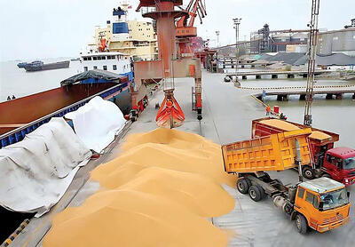 آغاز سامان‌دهی واردات و عرضه نهاده‌های دامی