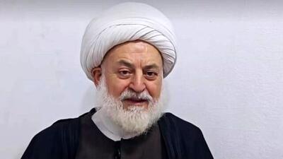  رهبر علویان سوریه فراخوان صادر کرد/ به مدت ۵ روز اعتصاب می‌کنیم