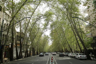 زیباترین خیابان‌های ایران که عاشقش می‌شوید |  انصاف نیوز