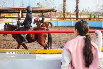 تصاویر: جشنواره زیبایی اسب کاسپین در انزلی