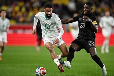 واکنش رسانه‌های نیوزیلند به همگروهی با ایران