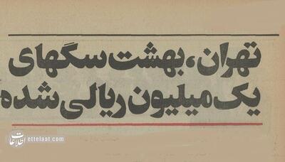  ۵۰ سال پیش سگ‌های خانگی تهران چه وضعی داشتند؟ +عکس