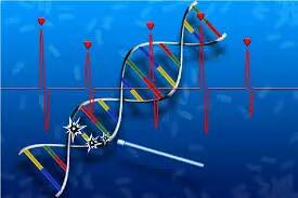  اولین داروی ترمیم‌کننده DNA از راه رسید؛ امیدی تازه برای بیماران قلبی