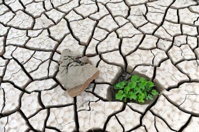 بلایی بدتر از فرسایش خاک/ کاهش نگران کننده کربن آلی خاک در استان‌های کشور