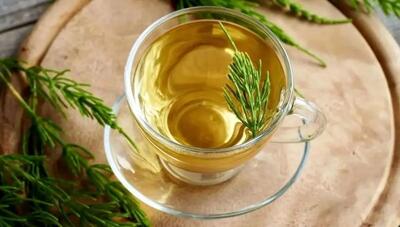  گیاه دم اسبی: ۷ خاصیت شگفت‌انگیز برای سلامتی و زیبایی