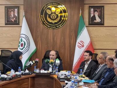  اگر شانس دولت چهاردهم است، ملخ صحرایی هم وارد کشور می‌شود!