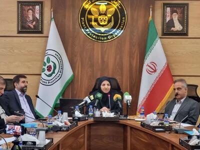  طرح اضطراری مقابله با ملخ صحرایی آماده شد