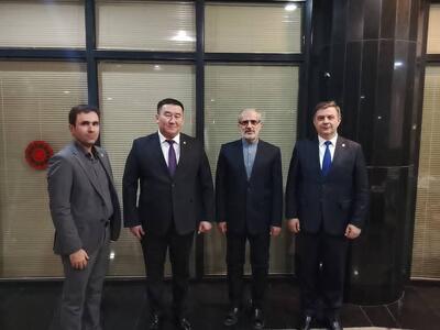 استقبال رئیس کمیته اجرایی ساختار ضدتروریسم شانگهای از حضور فعال و تاثیرگذار ایران