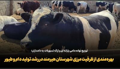  فیلم| بهره‌مندی از ظرفیت مرزی شهرستان هیرمند در رشد تولید دام و طیور