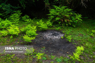  رئیس مؤسسه تحقیقات خاک و آب کشور: کاهش حاصلخیزی خاک ایران نگران‌کننده است