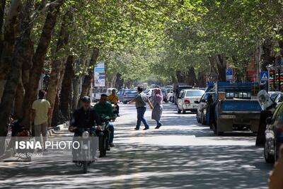  معاون فرماندار: شبکه مدیریت محله‌محور در اردکان راه‌اندازی می‌شود