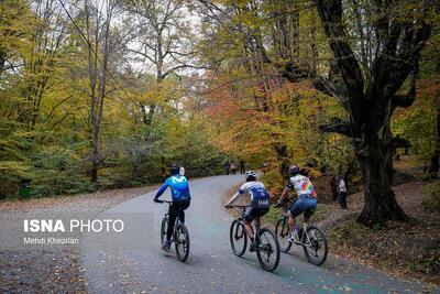 النـگدره؛ قاب ماندگار فصل دگرگونی