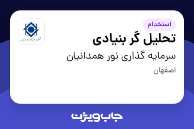  استخدام تحلیل گر بنیادی در سرمایه گذاری نور همدانیان