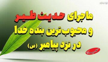 ماجرای شگفت‌انگیز حدیث طیر و محبوب‌ترین بنده خدا در نزد پیامبر (ص) - کلبه سرگرمی