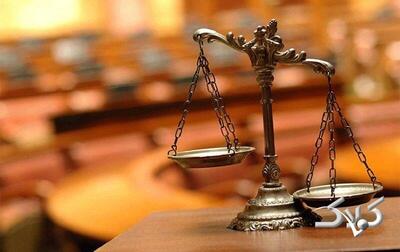 آقای اژه‌ای، ارزش تار سیبیل از قرارداد حقوقی بیشتر شده + ویدئو - مجله اینترنتی کولاک