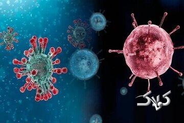 هشدار؛ شروع اپیدمی آنفلوآنزا / مصرف خودسرانه این دارو می‌تواند مرگبار باشد - مجله اینترنتی کولاک