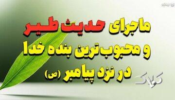 ماجرای شگفت‌انگیز حدیث طیر و محبوب‌ترین بنده خدا در نزد پیامبر (ص) - مجله اینترنتی کولاک