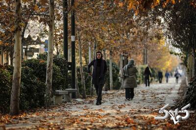 فعالیت سامانه بارشی جدید از فردا تا پایان هفته | تهرانی ها منتطر بارش باشد - مجله اینترنتی کولاک