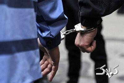 داماد با لباس زنانه جواهرات ۲۰ میلیاردی برادرزن را سرقت کرد - مجله اینترنتی کولاک