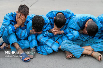 نور محمدی: باند ۴ نفره سرقت خودروهای ملاردی دستگیر شدند