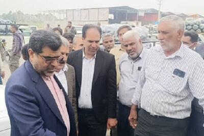 محسنی: کیفیت پایین بسته بندی محصولات کشاورزی موجب افت قیمت می‌شود
