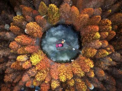  تصاویر شگفت‌انگیز طبیعت؛ شاهکارهایی که داوران را مسحور کردند + عکس