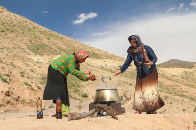 عدس‌پلو و ترشی انار؛ طعمی از زاگرس