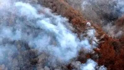 زنان محلی، قهرمانان خاموش مهار آتش جنگل‌های الیت بودند