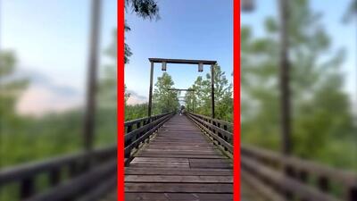  فیلم زیبایی پل چوبی کیاشهر در گیلان