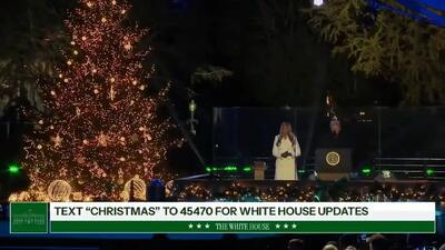 ملانیا ترامپ در مراسم روشن کردن درخت کریسمس ملی آمریکا + فیلم