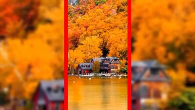  فیلم ۵ شهر آمریکا با بیشترین میلیاردرها