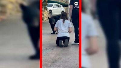  فیلم حرکت خطرناک زن در مواجهه با خرس سیاه در تنسی