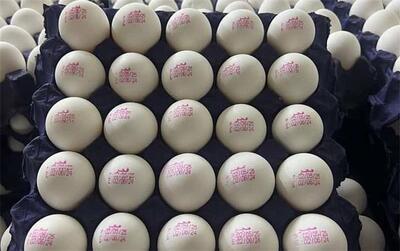 قیمت هرکیلو تخم مرغ درب مرغداری