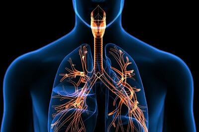 آلودگی هوا عملکرد ریه را کاهش می‌دهد