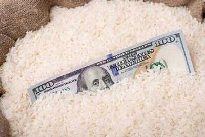 از حذف ارز ترجیحی برنج تا نبود نهاده‌های دامی | سیاست روز