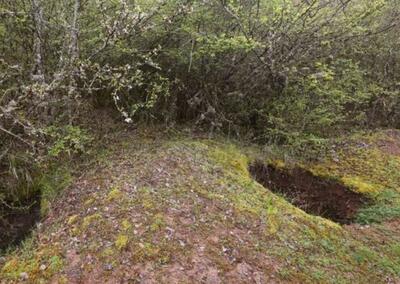 فرمانده یگان حفاظت میراث‌فرهنگی مازندران: ۲۰ حفار غیرمجاز در سوادکوه دستگیر شدند