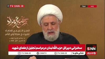  شیخ نعیم قاسم: در لبنان فقط یک مشکل داریم و آن حملات رژیم صهیونیستی است