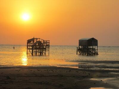  ۲۸ هکتار از اراضی ساحلی گلستان از متصرفین خلع ید شد