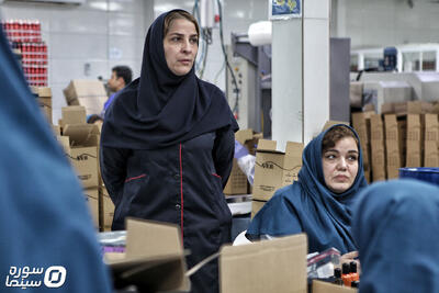 «تاجی» بهترین فیلم بخش بین‌الملل جشنواره مورد تأیید اسکار شد - سوره سینما