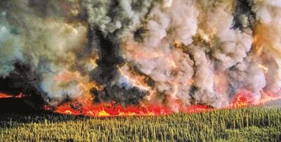 جنگل‌ها زیر فشار کم‌آبی و سوء‌مدیریت