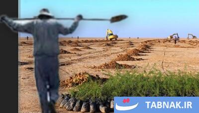 رونمایی از سرلیست بحران‌های خاموش؛  خاک  را از قلم نیندازید!