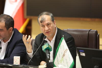 چالش‌های بودجه‌ای در مقابله با حمله ملخ صحرایی