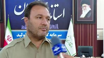 طرح زوج و فرد بدون هرگونه استثناء