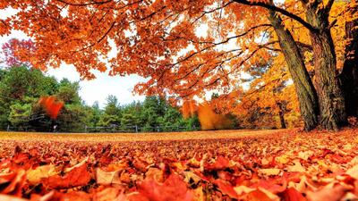 شمارش معکوس برای ورود سنگین‌ترین سامانه بارشی به کشور/بارش‌های نیرومند این استان‌ها را فرا می‌گیرد