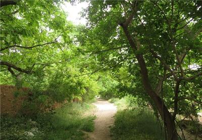 تصفیه‌خانه محلی قصردشت شیراز در آستانه بهره‌برداری - تسنیم