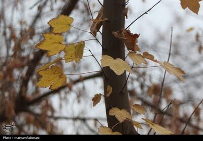 ورود سامانه بارشی جدید به اصفهان؛ افزایش غلظت آلاینده‌ها از سه‌شنبه - تسنیم
