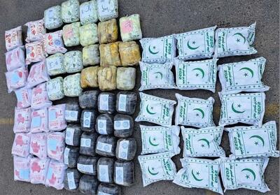 دستگیری قاچاقچیان 11 درصد افزایش یافت - تسنیم