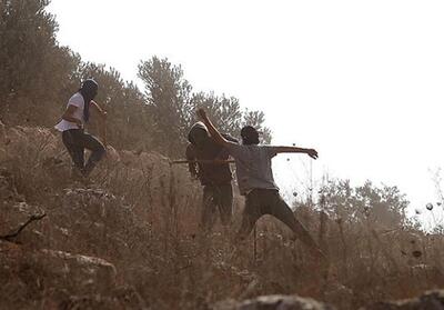 سازمان ملل: شهرک‌نشینان روزانه پنج بار به کرانه باختری یورش می‌برند - تسنیم